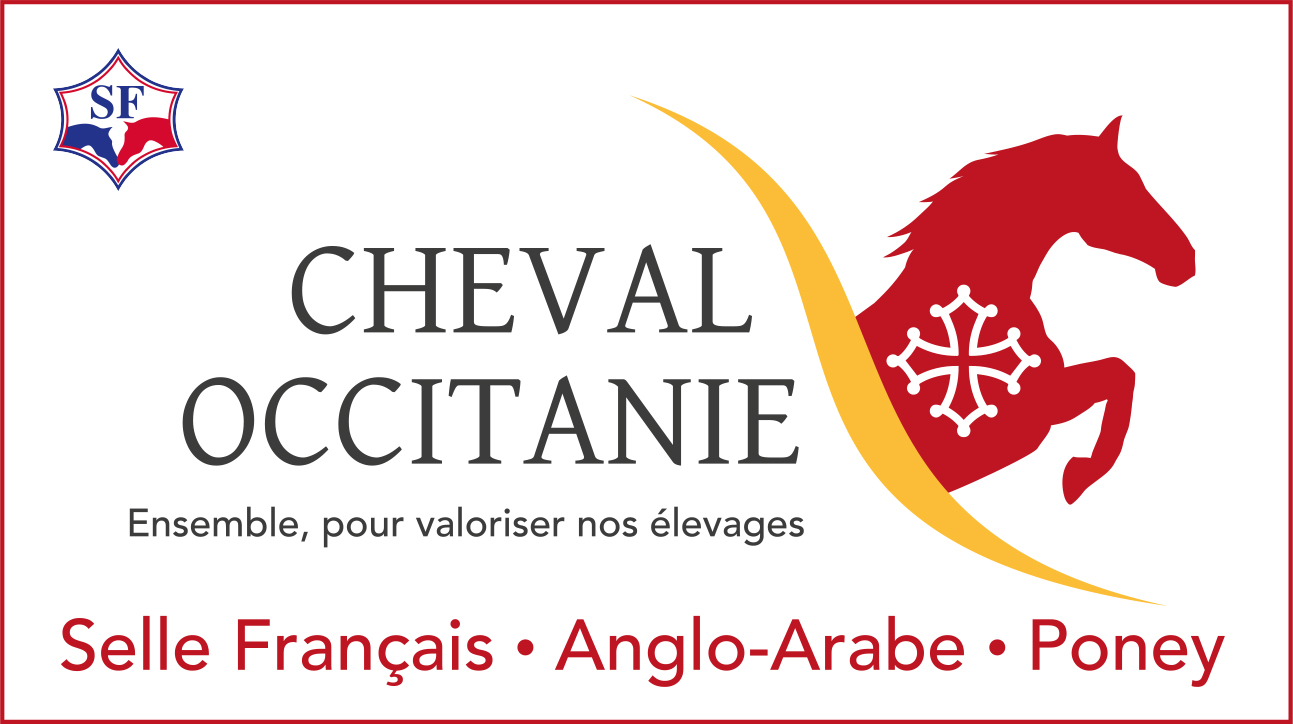 Cheval Occitanie