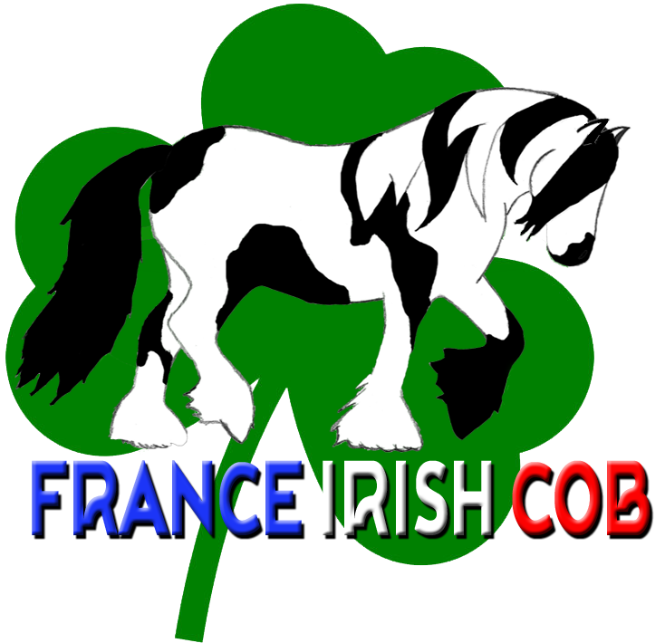 France Irish Cob