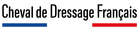 Cheval de Dressage Fran&ccedil;ais