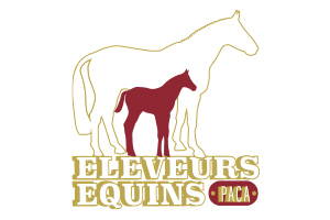 Eleveurs Equins PACA
