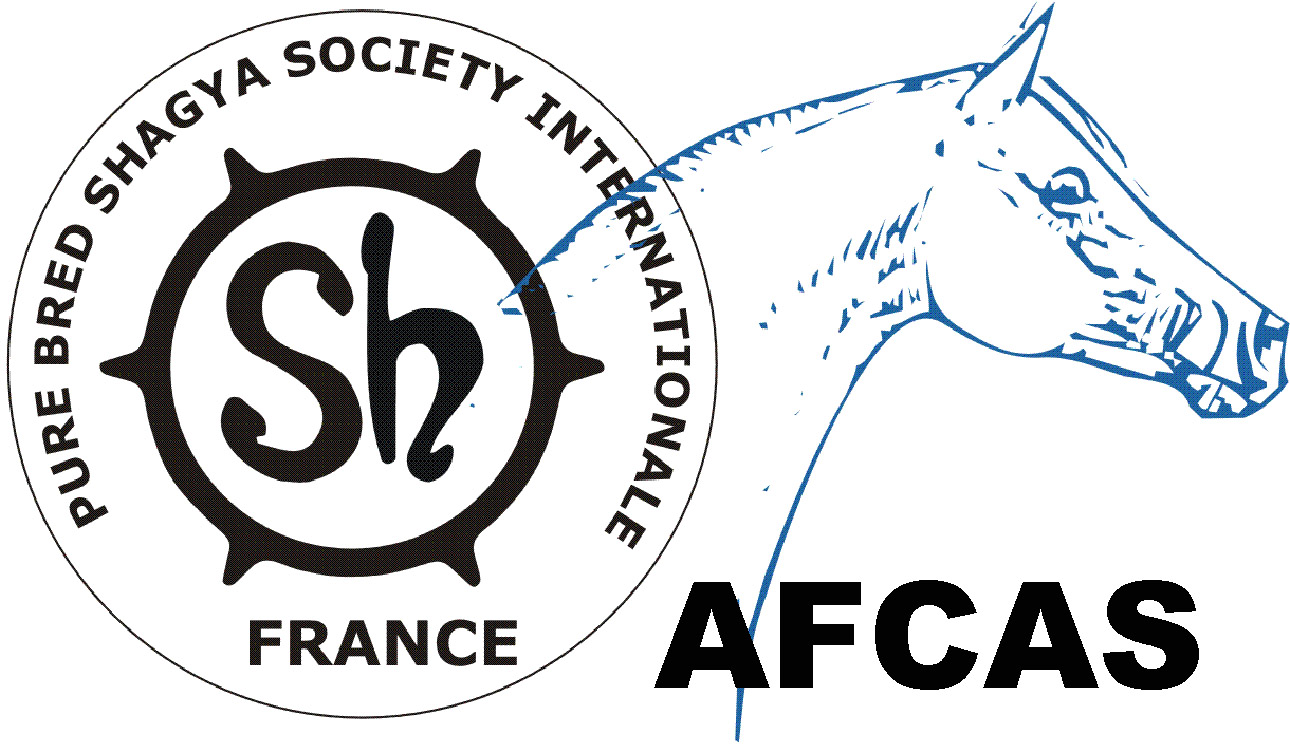 Association Fran&ccedil;aise du Cheval Arabe Shagya et Demi-Sang Shagya