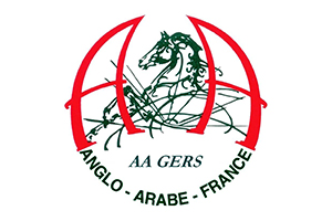 Anglo-Arabe Gers