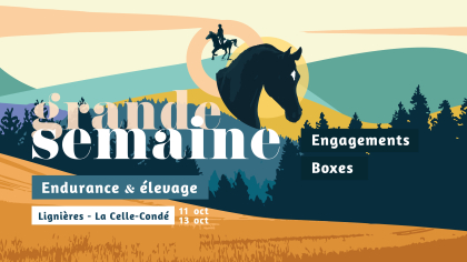 Grande Semaine d'Endurance 2024 : engagements, boxes, départs groupés