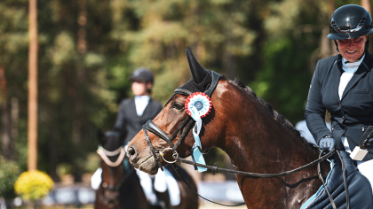 Précision Règlement Dressage : Cycle Libre et Poneys