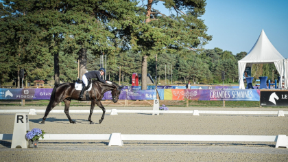 SUPPRESSION DES COMMENTAIRES ORAUX EN DRESSAGE CYCLE LIBRE ET PONEYS