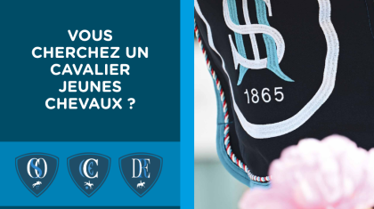 Lire l'actualité Vous cherchez un cavalier jeunes chevaux ?