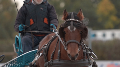 Lire l'actualité Grande Semaine d'Attelage 2025 : l'aftermovie