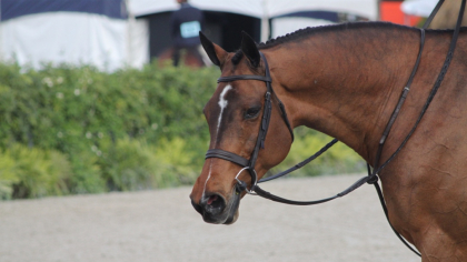 Lire l'actualité Modifications r&egrave;glementaires Style Hunter 2026