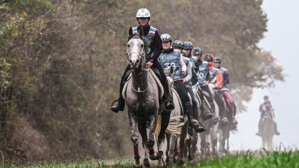 Lire l'actualité Modifications r&egrave;glementaires Endurance 2026