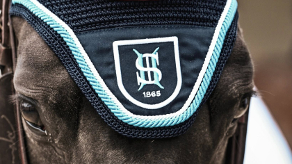 Pr&eacute;parez votre saison SHF 2026 : adh&eacute;sions, compte, d&eacute;claration des chevaux