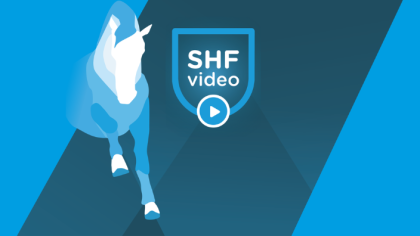 SHF VIDEO : UNE NOUVELLE FORMULE EN 2026