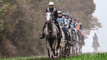 Lire l'actualité Appel &agrave; volontaires : Grande Semaine d'Endurance 2026